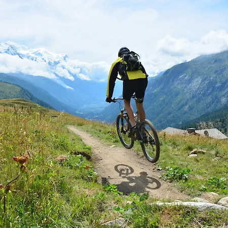 Le Chardonnet D - Happy